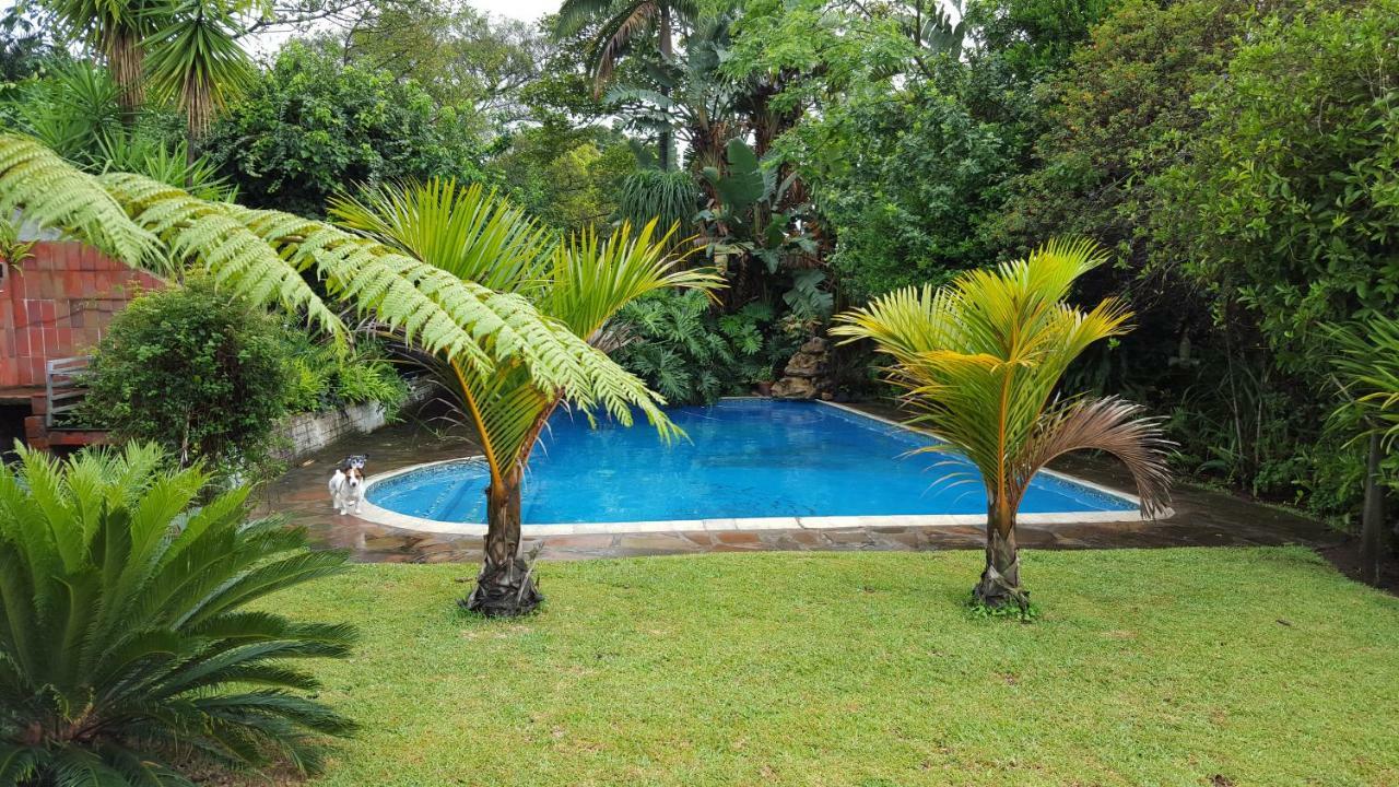 African Dwarf Kingfisher Guesthouse Eshowe Extérieur photo